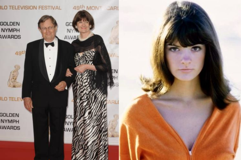 Katherine Carpenter: The Life, Career, and Family Story of David McCallum’s Wife