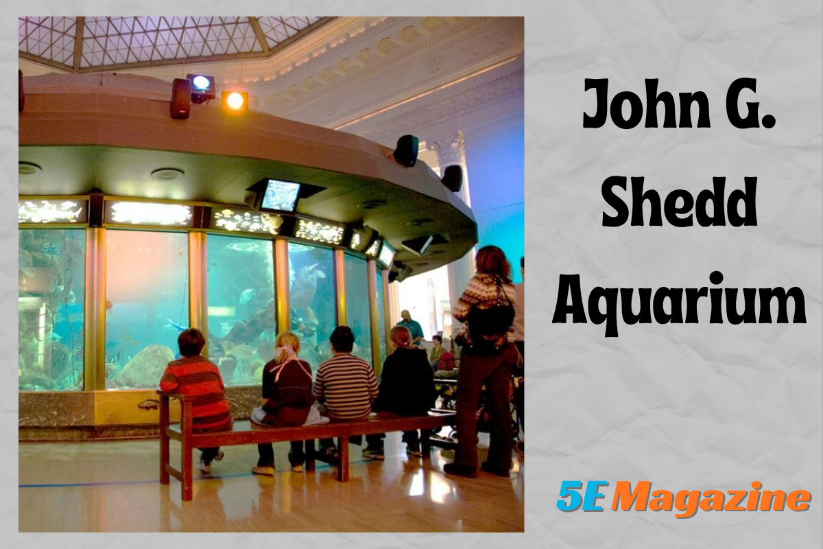 john g. shedd aquarium