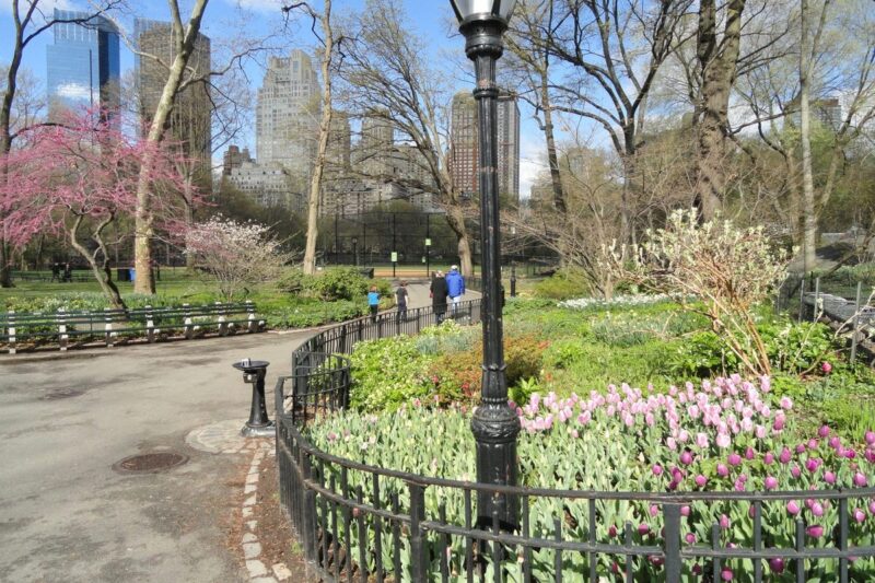 Walking paths in Central Park