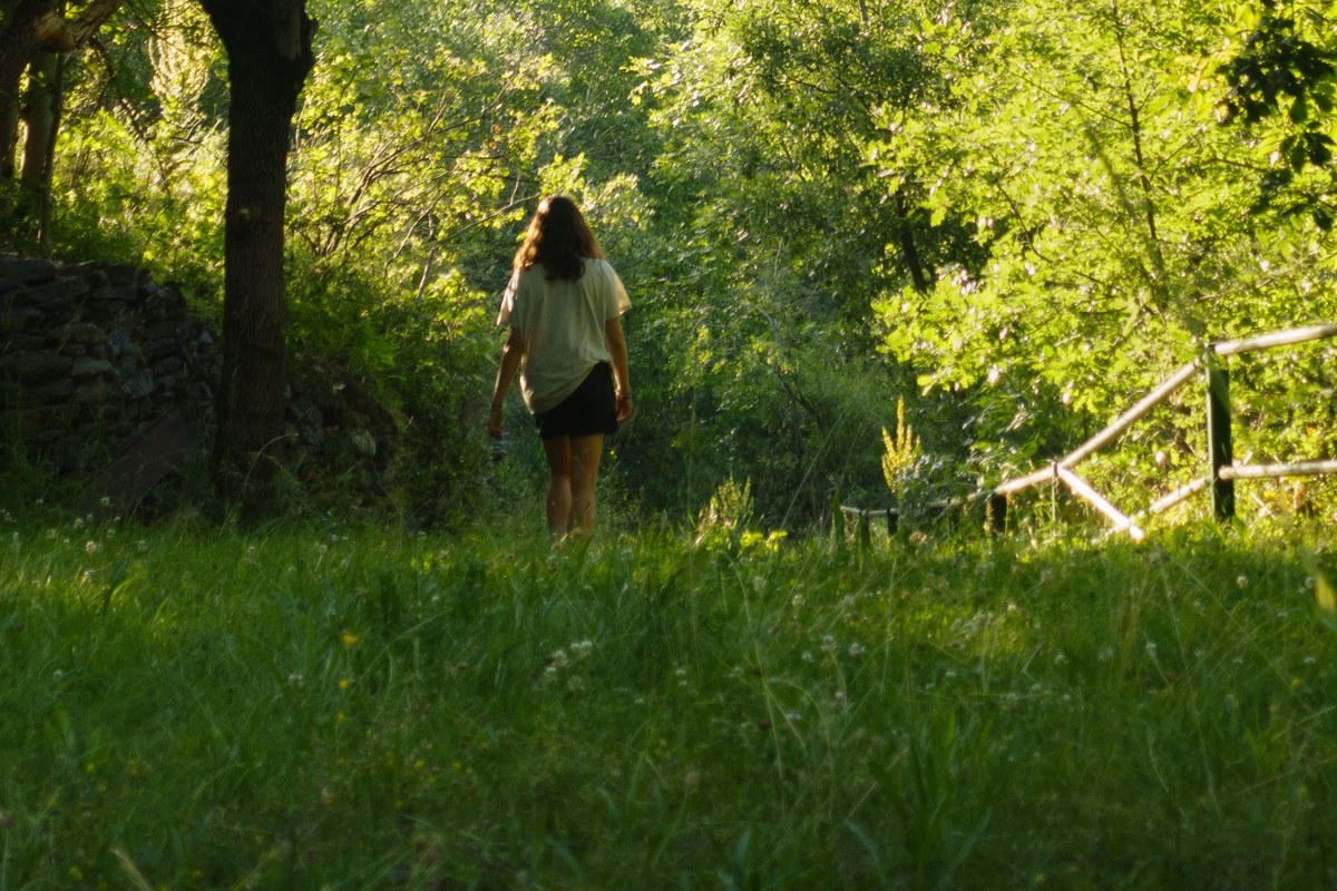 Person walking on a forest path