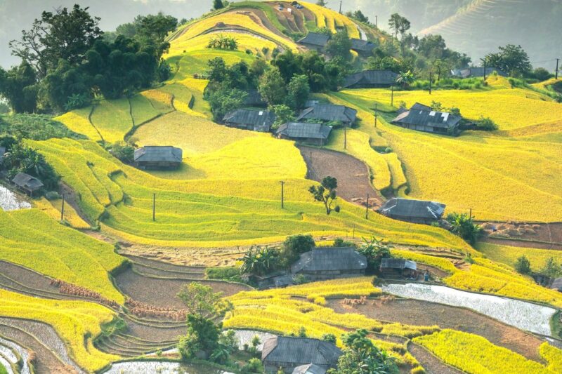 Scenic countryside landscape with green fields and a winding road
